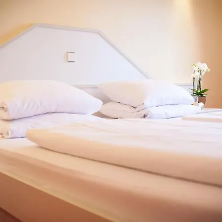 מלון Ramsteiner Hof רמשטיין-מיזנבאך