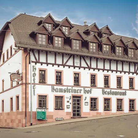 מלון Ramsteiner Hof 3*